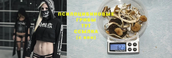 mdma Нязепетровск