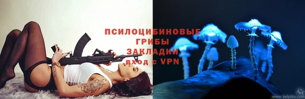 а пвп мука Няндома