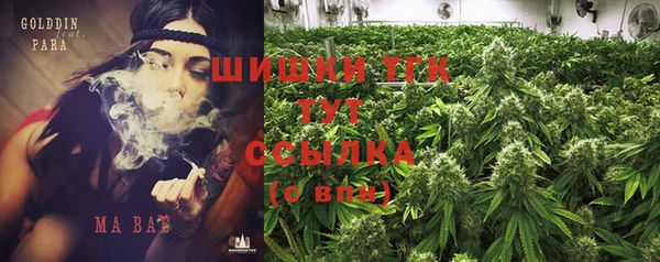 Альфа ПВП Нягань