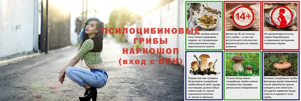 Альфа ПВП Нягань
