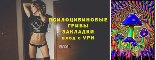 Альфа ПВП Нягань
