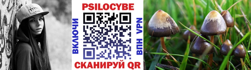 наркошоп Пойковский Галлюциногенные грибы Magic Shrooms